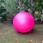 Gym Ball - Image 3
